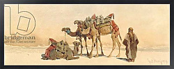 Постер Хааг Карл Resting with Three Camels in the Desert, 1859