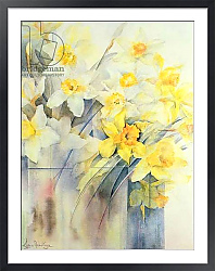 Постер Армитаж Карен (совр) Mixed Daffodils in a Tank