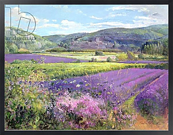 Постер Истон Тимоти (совр) Lavender Fields in Old Provence