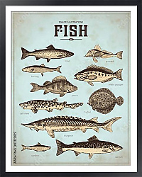 Постер Ретро плакат с видами рыб 1