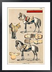 Постер Хромолитография лошадей со старинным оборудованием для верховой езды из антикварного каталога для верховой езды (1890)