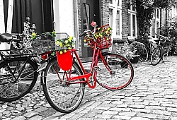 Постер Красный велосипед на чёрно-белой мощеной улице в старом городе