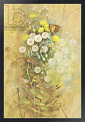 Постер Бенингфилд Гордон (1936-98) Meadow Brown and Ringlet Butterflies on seeds of Hawksbeard, from Beningfield's Butterflies pub.by Chatto & Windus, 1978