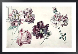 Постер Альма-Тадема Лоуренс (Lawrence Alma-Tadema) Roses