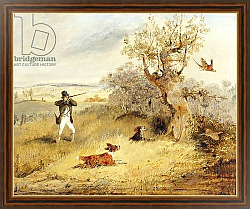 Постер Олкен Генри (охота) Pheasant Shooting 2