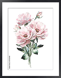 Постер Букет розовых роз с бутонами