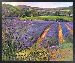 Постер Истон Тимоти (совр) Buddleia and Lavender Field, Montclus, 1993