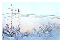 Постер Хвойный лес и линия электропередачи