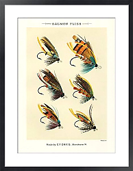 Постер Лососевые наживки из любимых мух и их истории Мэри Орвис Марбери.