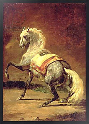 Постер Жерико Теодор Dappled Grey Horse