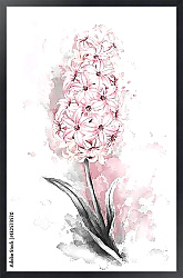 Постер Акварельный розовый гиацинт