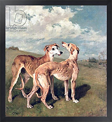 Постер Эммс Джон Greyhounds