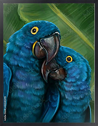 Постер Пара синих попугаев