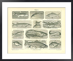 Постер Рыбы I 1