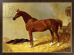 Постер Херринг Джон A Bay Racehorse in a Stall, 1843