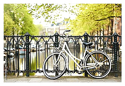 Постер Голландия, Амстердам. Белый велосипед у канала