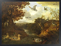 Постер Барлоу Франсис Ducks and other birds about a stream in an Italianate landscape, 1671