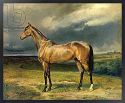 Постер Стеффек Карл 'Abdul Medschid' the chestnut arab horse, 1855