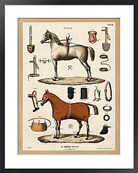 Постер Хромолитография со старинным оборудованием для верховой езды (1890 г.), из антикварного каталога для верховой езды