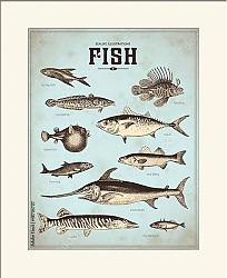 Постер Ретро плакат с видами рыб 2
