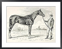 Постер The Earl, winner of the Grad Prix de Paris in 1868. Created by Janet-Lange and Cosson-Smeeton, publi
