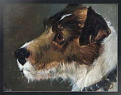 Постер Эммс Джон Head of a Rough-Haired Terrier