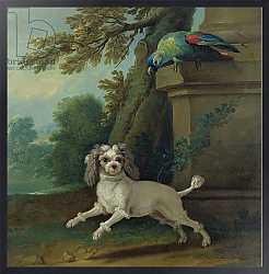 Постер Одри Жан-Батист Zaza, the dog, c.1730
