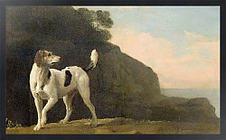 Постер Стаббс Джордж A Foxhound, c.1760
