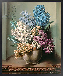 Постер Уильямс Альберт (совр) AB/313 Hyacinths in a Pottery Vase