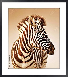 Постер Профиль зебры
