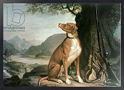 Постер Сарториус Франсуа G. M. Johnston's favourite gun dog in a landscape