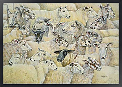 Постер Дитц (совр) Sheep-Blanket