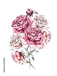 Постер Букет розовых пионов на белом 