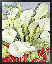 Постер Делеворис Лиллиан Arum Lillies, 1978