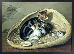 Постер Уильде Самуэль Cat with Her Kittens in a Basket, 1797