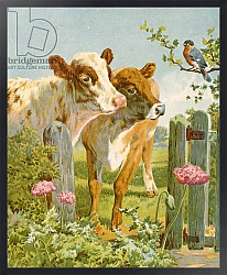 Постер Школа: Английская 19в. A Piping Bullfinch