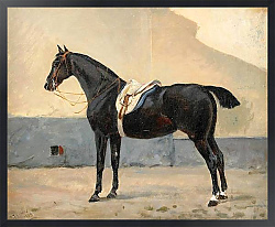 Постер Арсениус Джон Portrait of a Horse