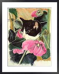 Постер Робинсон Анне (совр) Kitten and hollyhocks