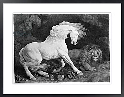 Постер Стаббс Джордж A Horse Affrighted by a Lion, engraved by the artist, 1788