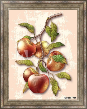 Постер Реалистичная иллюстрация красного яблока с корицей