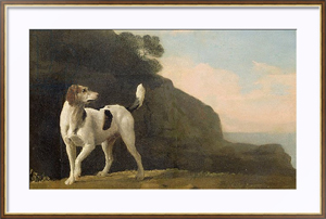 Картина A Foxhound, c.1760