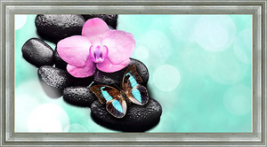 Постер в раме Бабочка и цветок орхидеи на камнях