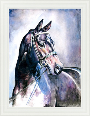 Картина в раме Черный конь, акварель