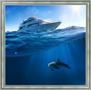 Постер на холсте Дельфин и яхта