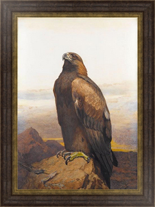 Постер-гравюра Golden eagle 6