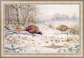 Картина Pheasant and Partridge Eating, Даннер Карл