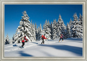 Постер на холсте Лыжная прогулка по лесу