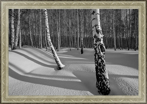 Картина на холсте Березовая роща. Зима.