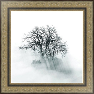 Постер в раме Силуэт одинокого дерева в туманное утро