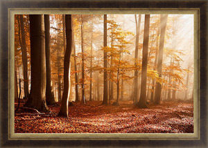 Постер Осенний лес в Карпатах, Словакия